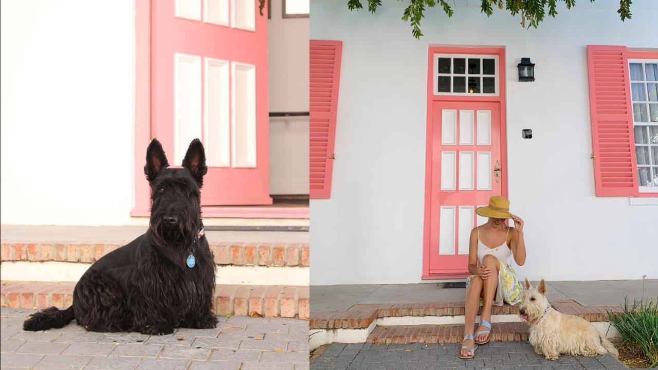 โรงแรมดรอสท์ดี กราฟฟ์-เรเน็ต ภายนอก รูปภาพ Scottie dogs