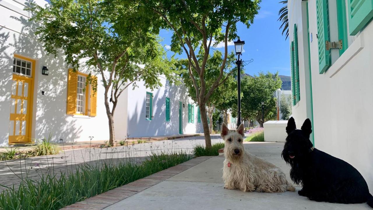 โรงแรมดรอสท์ดี กราฟฟ์-เรเน็ต ภายนอก รูปภาพ Two West Highland White Terriers