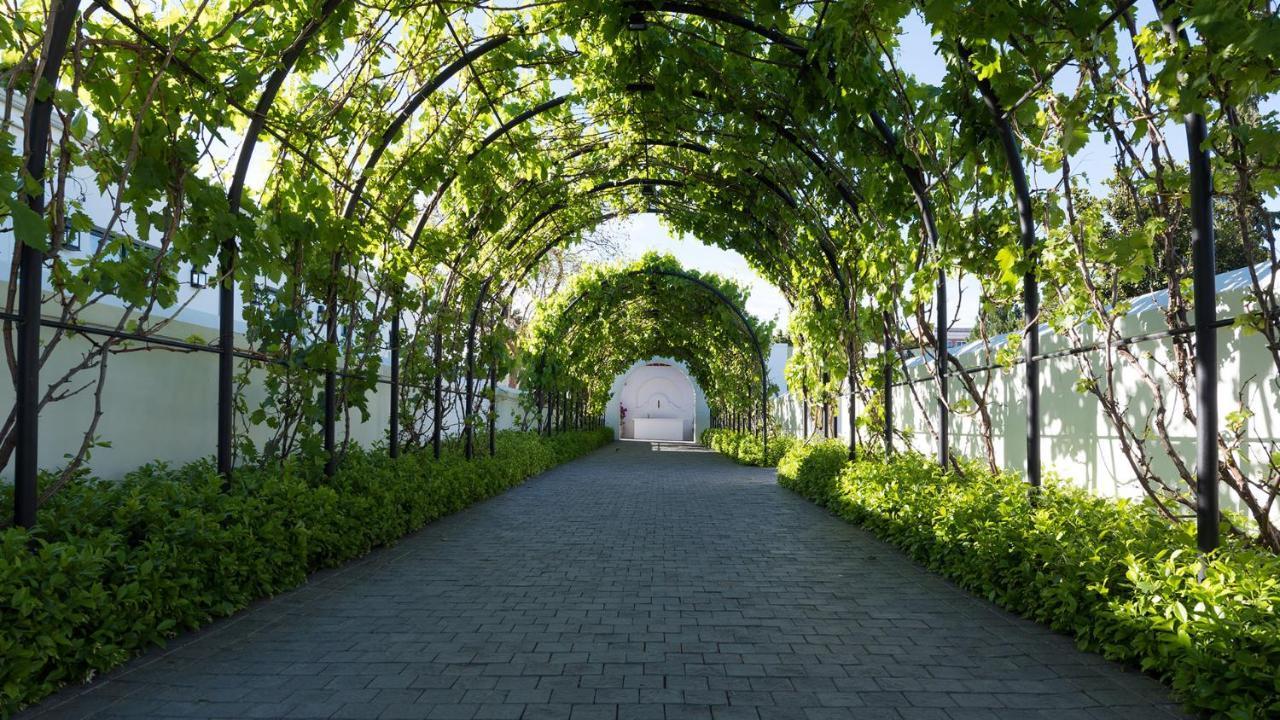 โรงแรมดรอสท์ดี กราฟฟ์-เรเน็ต ภายนอก รูปภาพ The Pergola